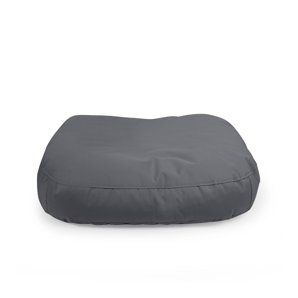 Cloud-L Plus